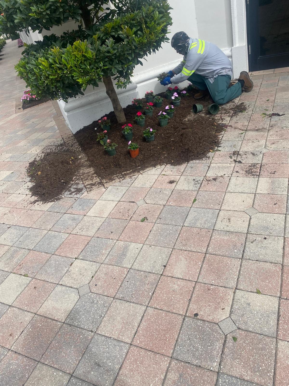 Professionally maintained landscape and garden
